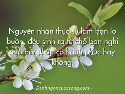 Nguyên nhân thực sự làm bạn lo buồn, đều sinh ra từ chỗ bạn nghi ngờ bản thân có hạnh phúc hay không.