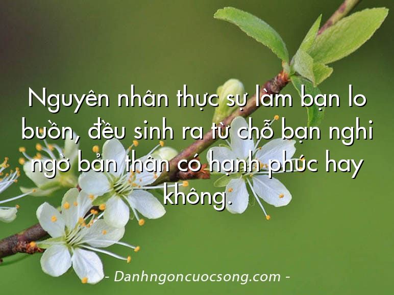 Nguyên nhân thực sự làm bạn lo buồn, đều sinh ra từ chỗ bạn nghi ngờ bản thân có hạnh phúc hay không.