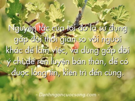 Nguyên tắc của tôi đó là sử đụng gấp đôi thời gian so với người khác để làm việc, và dùng gấp đôi ý chí để rèn luyện bản thân, để có được lòng tin, kiên trì đến cùng.