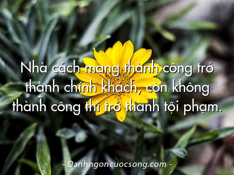 Nhà cách mạng thành công trở thành chính khách, còn không thành công thì trở thành tội phạm.