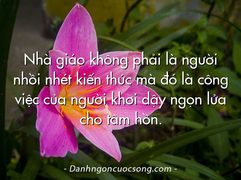 Nhà giáo không phải là người nhồi nhét kiến thức mà đó là công việc của người khơi dậy ngọn lửa cho tâm hồn.
