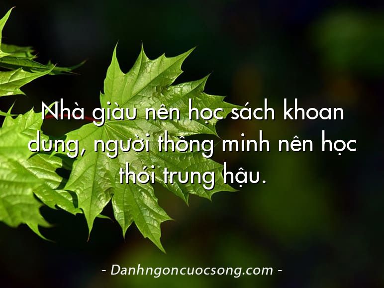 Nhà giàu nên học sách khoan dung, người thông minh nên học thói trung hậu.