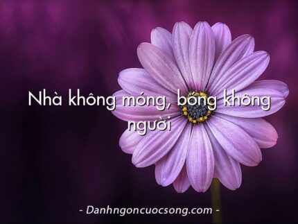 Nhà không móng, bóng không người
