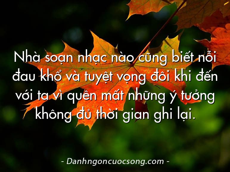 Nhà soạn nhạc nào cũng biết nỗi đau khổ và tuyệt vọng đôi khi đến với ta vì quên mất những ý tưởng không đủ thời gian ghi lại.