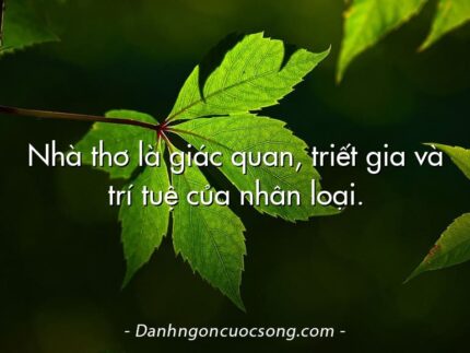 Nhà thơ là giác quan, triết gia và trí tuệ của nhân loại.