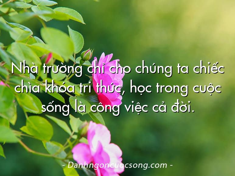 Nhà trường chỉ cho chúng ta chiếc chìa khóa tri thức, học trong cuộc sống là công việc cả đời.