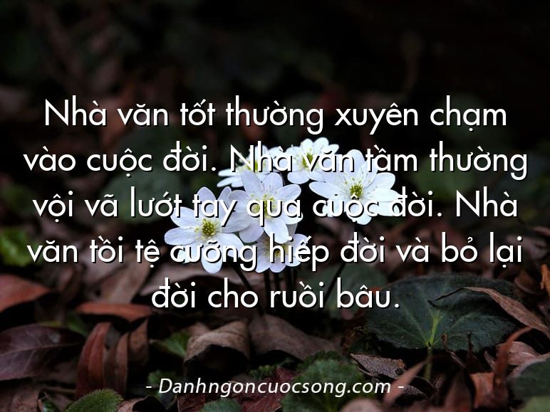 Nhà văn tốt thường xuyên chạm vào cuộc đời. Nhà văn tầm thường vội vã lướt tay qua cuộc đời. Nhà văn tồi tệ cưỡng hiếp đời và bỏ lại đời cho ruồi bâu.