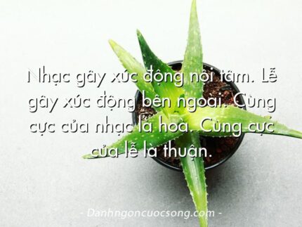 Nhạc gây xúc động nội tâm. Lễ gây xúc động bên ngoài. Cùng cực của nhạc là hoà. Cùng cực của lễ là thuận.