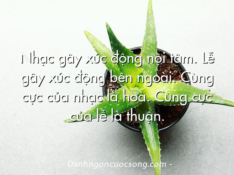 Nhạc gây xúc động nội tâm. Lễ gây xúc động bên ngoài. Cùng cực của nhạc là hoà. Cùng cực của lễ là thuận.