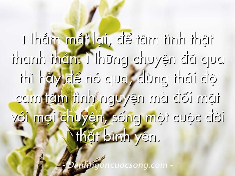 Nhắm mắt lại, để tâm tình thật thanh thản. Những chuyện đã qua thì hãy để nó qua, dùng thái độ cam tâm tình nguyện mà đối mặt với mọi chuyện, sống một cuộc đời thật bình yên.