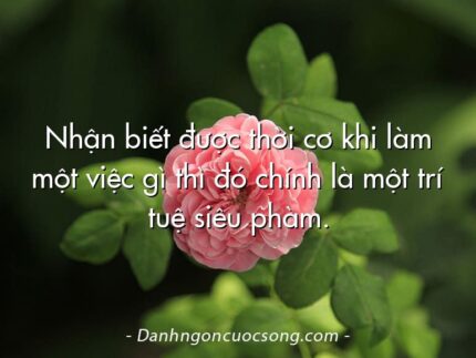 Nhận biết được thời cơ khi làm một việc gì thì đó chính là một trí tuệ siêu phàm.