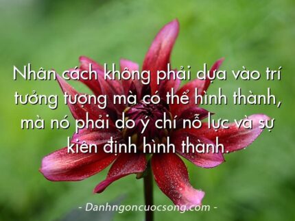 Nhân cách không phải dựa vào trí tưởng tượng mà có thể hình thành, mà nó phải do ý chí nỗ lực và sự kiên định hình thành.