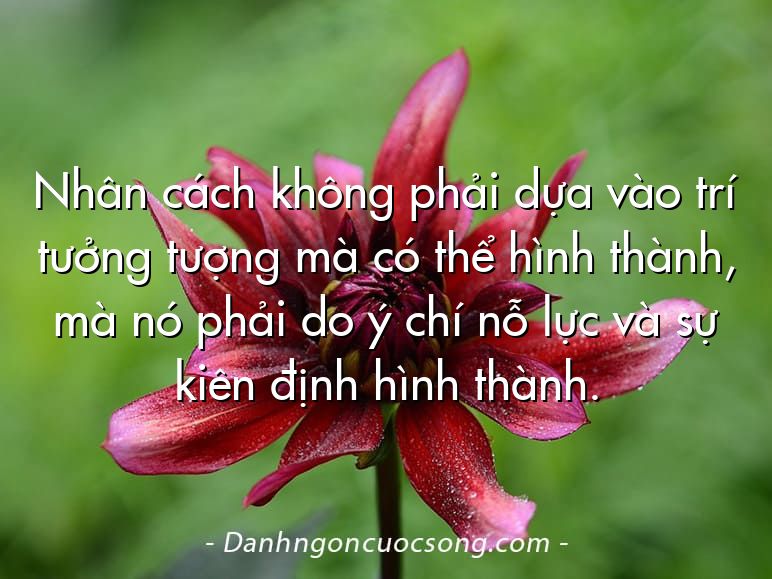 Nhân cách không phải dựa vào trí tưởng tượng mà có thể hình thành, mà nó phải do ý chí nỗ lực và sự kiên định hình thành.