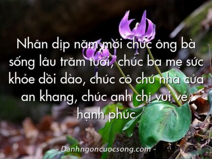 Nhân dịp năm mới chúc ông bà sống lâu trăm tuổi, chúc ba mẹ sức khỏe dồi dào, chúc cô chú nhà cửa an khang, chúc anh chị vui vẻ, hạnh phúc