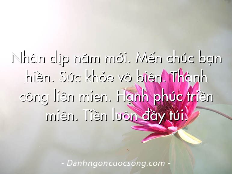 Nhân dịp năm mới. Mến chúc bạn hiền. Sức khỏe vô biên. Thành công liên mien. Hạnh phúc triền miên. Tiền luôn đầy túi.