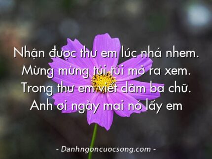 Nhận được thư em lúc nhá nhem. Mừng mừng tủi tủi mở ra xem. Trong thư em viết dăm ba chữ. Anh ơi ngày mai nó lấy em