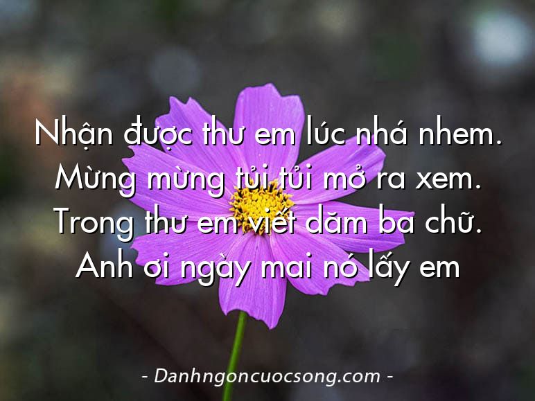 Nhận được thư em lúc nhá nhem. Mừng mừng tủi tủi mở ra xem. Trong thư em viết dăm ba chữ. Anh ơi ngày mai nó lấy em