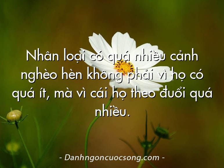Nhân loại có quá nhiều cảnh nghèo hèn không phải vì họ có quá ít, mà vì cái họ theo đuổi quá nhiều.