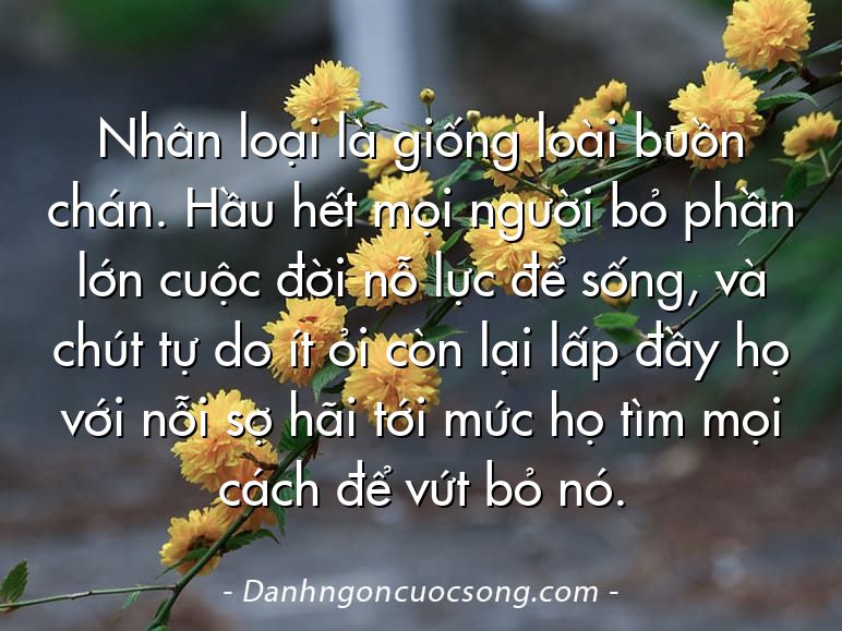 Nhân loại là giống loài buồn chán. Hầu hết mọi người bỏ phần lớn cuộc đời nỗ lực để sống, và chút tự do ít ỏi còn lại lấp đầy họ với nỗi sợ hãi tới mức họ tìm mọi cách để vứt bỏ nó.