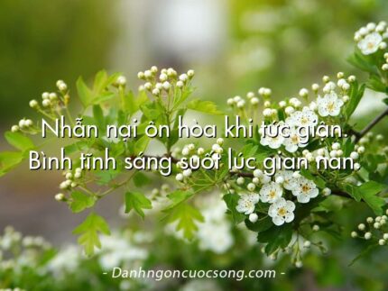 Nhẫn nại ôn hòa khi tức giận. Bình tĩnh sáng suốt lúc gian nan.