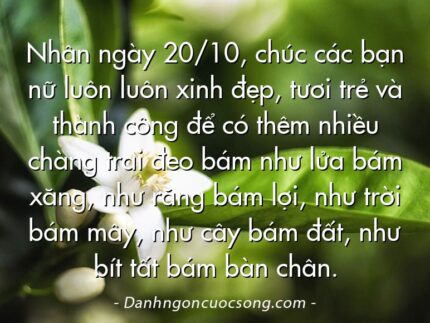 Nhân ngày 20/10, chúc các bạn nữ luôn luôn xinh đẹp, tươi trẻ và thành công để có thêm nhiều chàng trai đeo bám như lửa bám xăng, như răng bám lợi, như trời bám mây, như cây bám đất, như bít tất bám bàn chân.