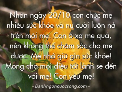Nhân ngày 20/10 con chúc mẹ nhiều sức khỏe và nụ cười luôn nở trên môi mẹ. Con ở xa mẹ quá, nên không thể chăm sóc cho mẹ được. Mẹ nhớ giữ gìn sức khỏe! Mong cho mọi điều tốt lành sẽ đến với mẹ! Con yêu mẹ!