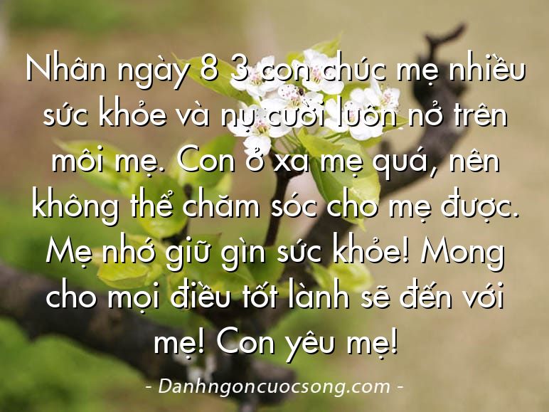 Nhân ngày 8 3 con chúc mẹ nhiều sức khỏe và nụ cười luôn nở trên môi mẹ. Con ở xa mẹ quá, nên không thể chăm sóc cho mẹ được. Mẹ nhớ giữ gìn sức khỏe! Mong cho mọi điều tốt lành sẽ đến với mẹ! Con yêu mẹ!