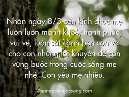 Nhân ngày 8/3 con kính chúc mẹ luôn luôn mạnh khoẻ, hạnh phúc, vui vẻ, luôn sát cánh bên con và cho con những lời khuyên để con vững bước trong cuộc sống mẹ nhé. Con yêu mẹ nhiều.