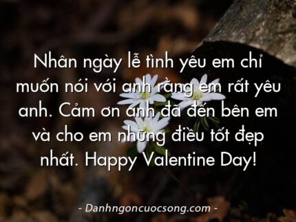 Nhân ngày lễ tình yêu em chỉ muốn nói với anh rằng em rất yêu anh. Cảm ơn anh đã đến bên em và cho em những điều tốt đẹp nhất. Happy Valentine Day!