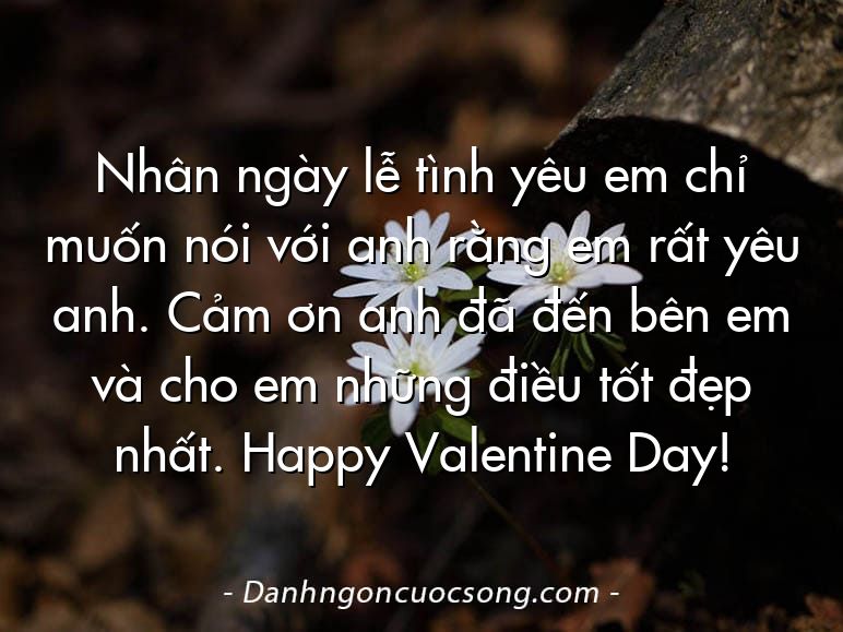 Nhân ngày lễ tình yêu em chỉ muốn nói với anh rằng em rất yêu anh. Cảm ơn anh đã đến bên em và cho em những điều tốt đẹp nhất. Happy Valentine Day!