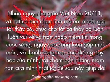 Nhân ngày nhà giáo Việt Nam 20/11, với tất cả tấm chân tình mà em muốn gửi tới thầy cô, chúc cho tất cả thầy cô luôn luôn vui vẻ và tràn ngập niềm tin trong cuộc sống, ngày nào cũng luôn gặp mai mắn, và thành công trên con đường dạy học của mình, và chăm bón những mầm non của mình thật tốt để sau này giúp đời
