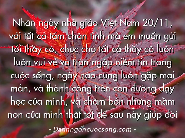 Nhân ngày nhà giáo Việt Nam 20/11, với tất cả tấm chân tình mà em muốn gửi tới thầy cô, chúc cho tất cả thầy cô luôn luôn vui vẻ và tràn ngập niềm tin trong cuộc sống, ngày nào cũng luôn gặp mai mắn, và thành công trên con đường dạy học của mình, và chăm bón những mầm non của mình thật tốt để sau này giúp đời