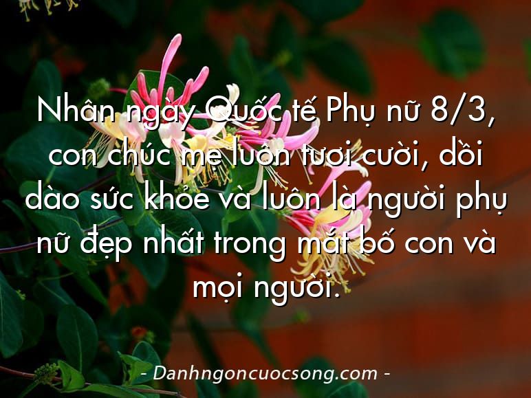 Nhân ngày Quốc tế Phụ nữ 8/3, con chúc mẹ luôn tươi cười, dồi dào sức khỏe và luôn là người phụ nữ đẹp nhất trong mắt bố con và mọi người.