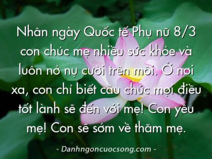 Nhân ngày Quốc tế Phụ nữ 8/3 con chúc mẹ nhiều sức khỏe và luôn nở nụ cười trên môi. Ở nơi xa, con chỉ biết cầu chúc mọi điều tốt lành sẽ đến với mẹ! Con yêu mẹ! Con sẽ sớm về thăm mẹ.