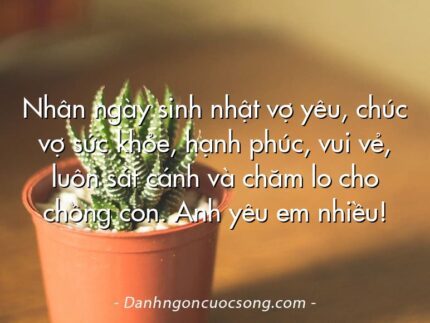 Nhân ngày sinh nhật vợ yêu, chúc vợ sức khỏe, hạnh phúc, vui vẻ, luôn sát cánh và chăm lo cho chồng con. Anh yêu em nhiều!
