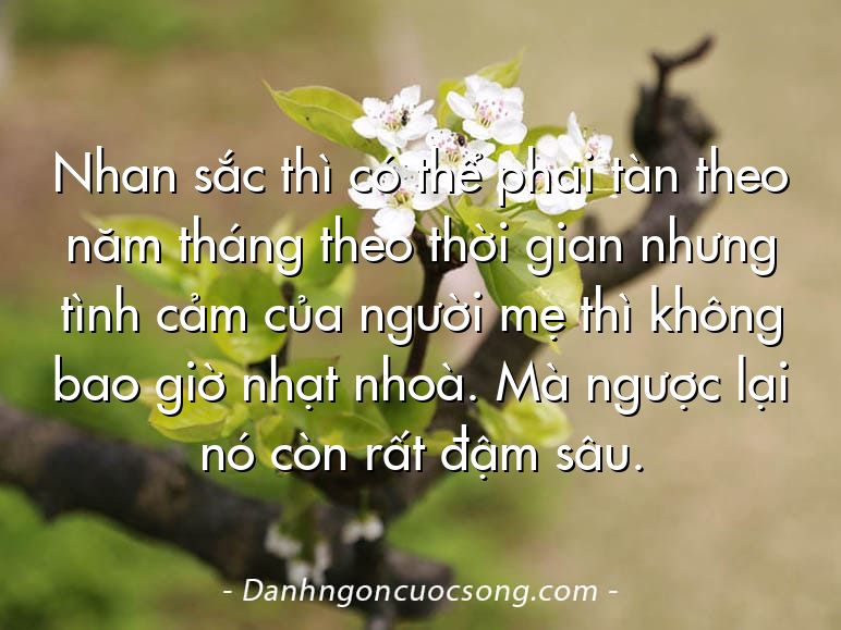Nhan sắc thì có thể phai tàn theo năm tháng theo thời gian nhưng tình cảm của người mẹ thì không bao giờ nhạt nhoà. Mà ngược lại nó còn rất đậm sâu.