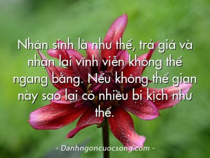 Nhân sinh là như thế, trả giá và nhận lại vĩnh viễn không thể ngang bằng. Nếu không thể gian này sao lại có nhiều bi kịch như thế.