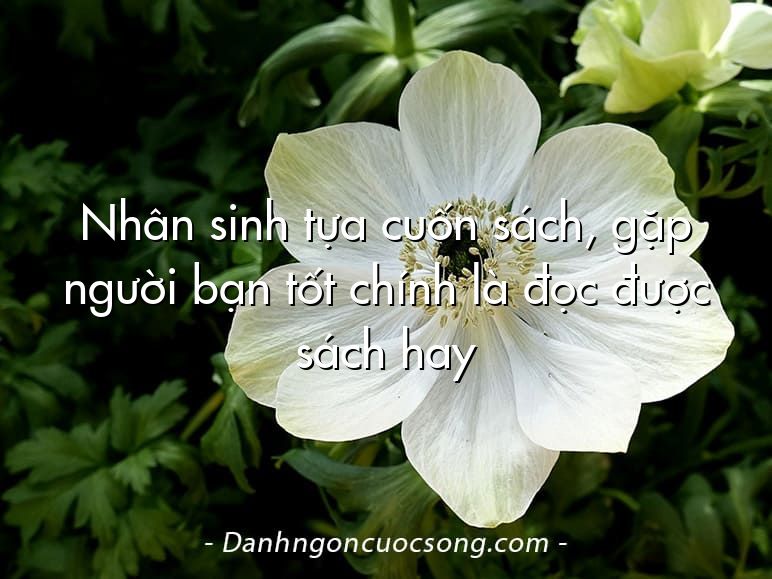 Nhân sinh tựa cuốn sách, gặp người bạn tốt chính là đọc được sách hay