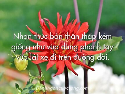 Nhận thức bản thân thấp kém giống như vừa dùng phanh tay vừa lái xe đi trên đường đời.