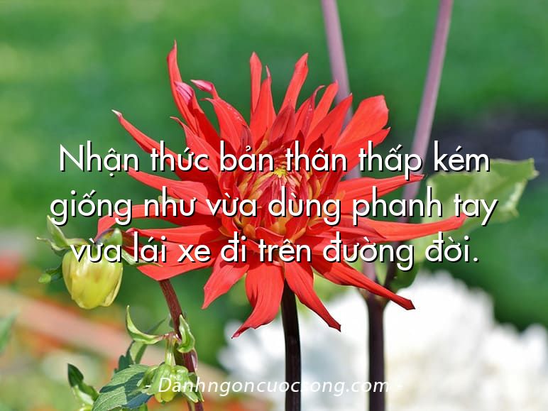 Nhận thức bản thân thấp kém giống như vừa dùng phanh tay vừa lái xe đi trên đường đời.