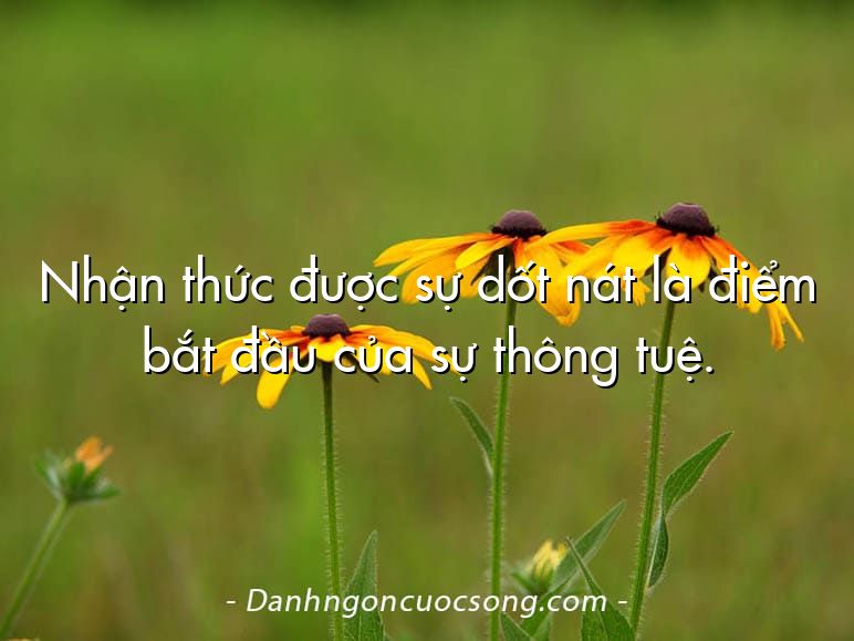 Nhận thức được sự dốt nát là điểm bắt đầu của sự thông tuệ.