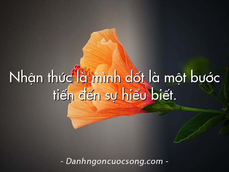 Nhận thức là mình dốt là một bước tiến đến sự hiểu biết.