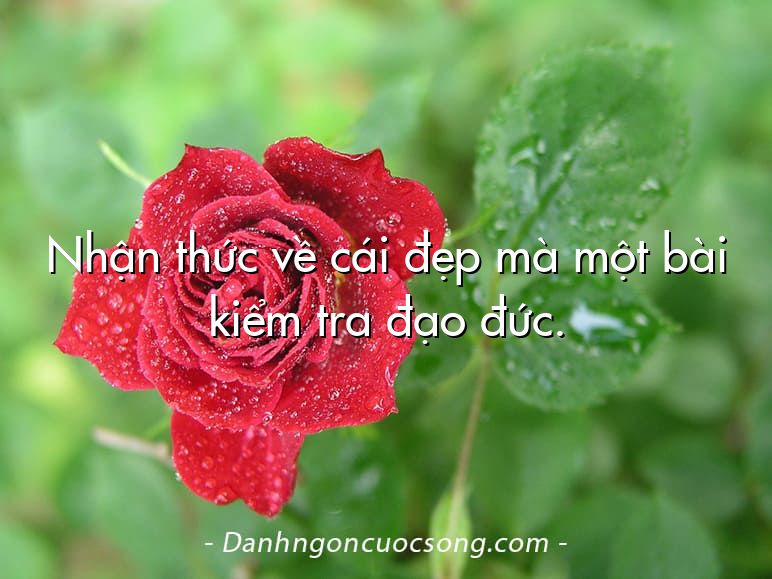 Nhận thức về cái đẹp mà một bài kiểm tra đạo đức.