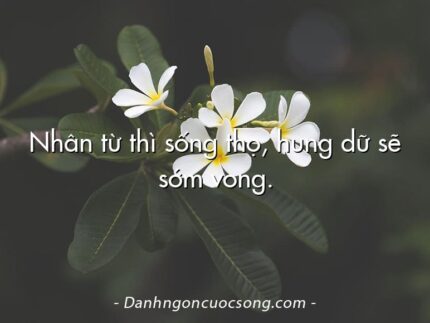 Nhân từ thì sống thọ, hung dữ sẽ sớm vong.
