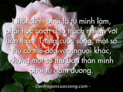 Nhất định phải là tự mình làm, phải học cách chịu trách nhiệm với bản thân. Trong cuộc sống, một số thứ có thể dựa vào người khác, nhưng một số thứ bản thân mình phải tự đảm đương.