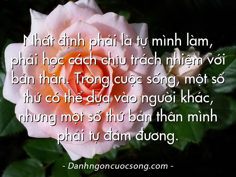 Nhất định phải là tự mình làm, phải học cách chịu trách nhiệm với bản thân. Trong cuộc sống, một số thứ có thể dựa vào người khác, nhưng một số thứ bản thân mình phải tự đảm đương.