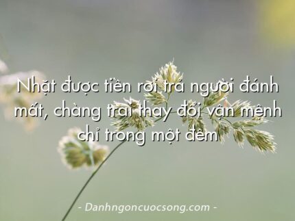 Nhặt được tiền rơi trả người đánh mất, chàng trai thay đổi vận mệnh chỉ trong một đêm