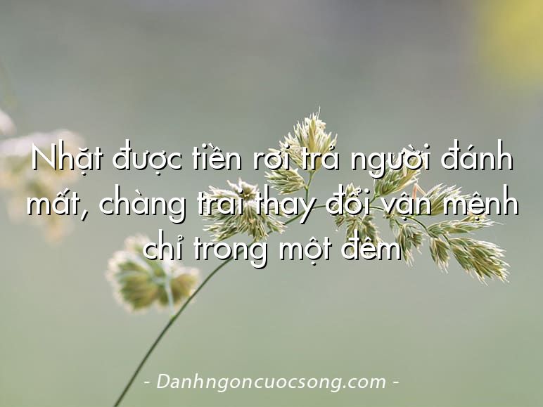 Nhặt được tiền rơi trả người đánh mất, chàng trai thay đổi vận mệnh chỉ trong một đêm