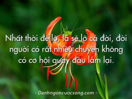 Nhất thời để lỡ, là sẽ lỡ cả đời, đời người có rất nhiều chuyện không có cơ hội quay đầu làm lại.