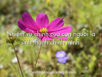 Nhiệm vụ chính của con người là sinh thành chính mình.